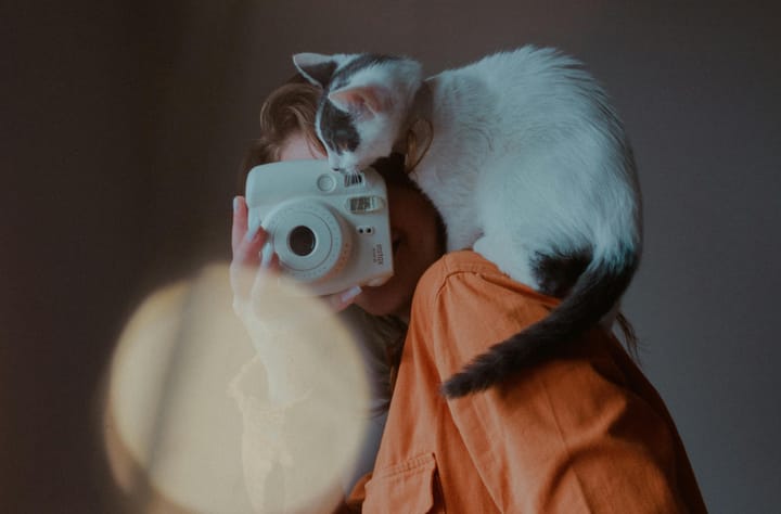 7 Cat Profiles You MUST Follow Under 100K