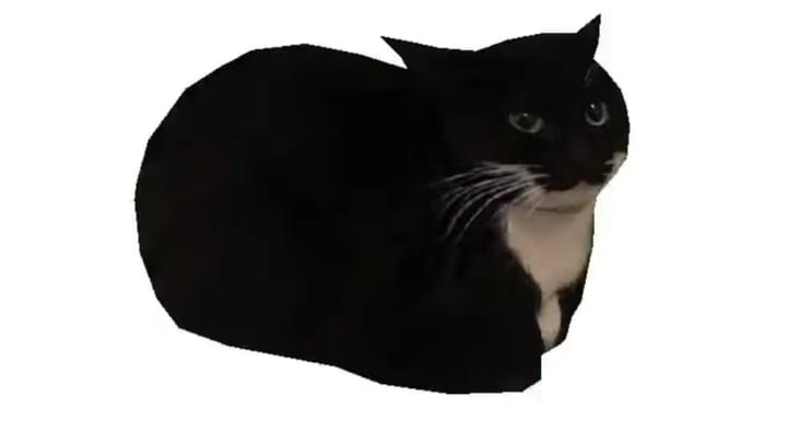 What Makes A Cat Meme So Good: 6 Reasons Cats Make The Best Memes