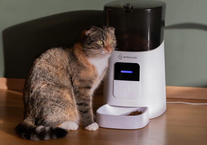 Are Smart Cat Gadgets Really Smart? Popular Cat Gadgets That Could Harm Your Cat